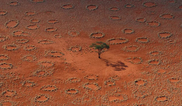 Cerchi delle fate: scoperto il mistero delle enigmatiche strutture dei deserti