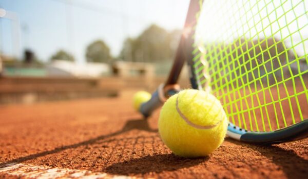 Cosa ci fa un falco a Wimbledon?